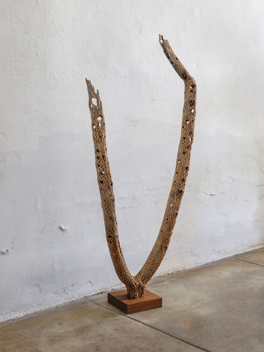 Cholla Cactus Sculpture