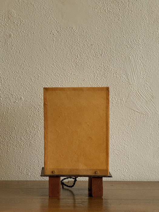 Brace Lamp