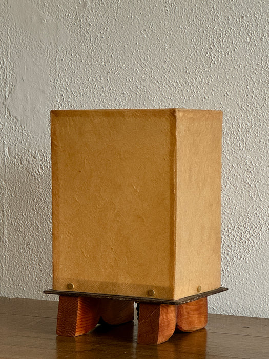 Brace Lamp