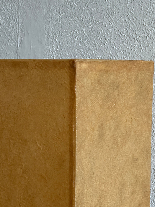 Brace Lamp