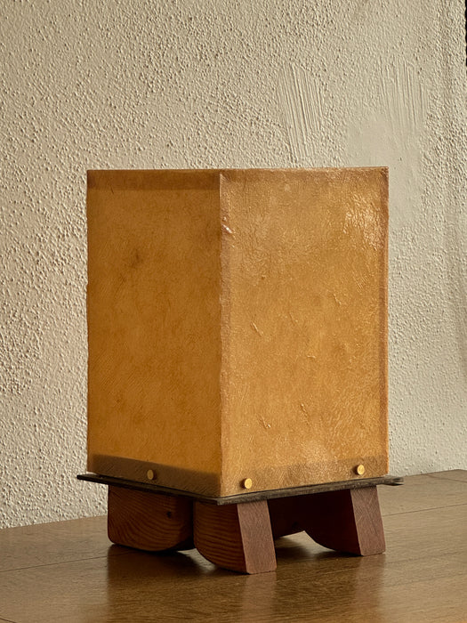 Brace Lamp