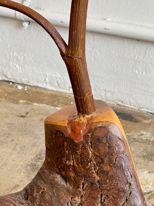 Branch Accessories Stand