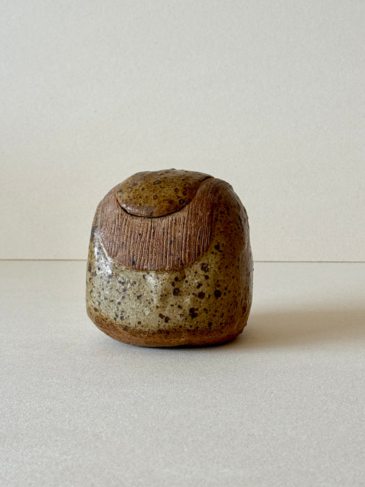 Speckled Jar With Lid