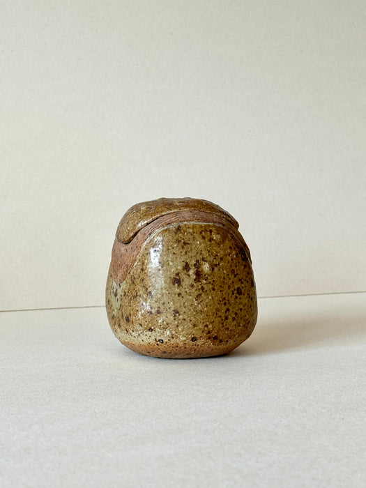 Speckled Jar With Lid