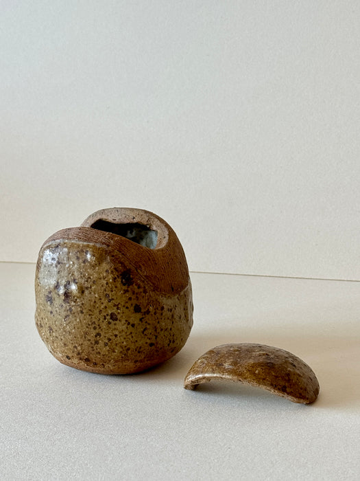 Speckled Jar With Lid