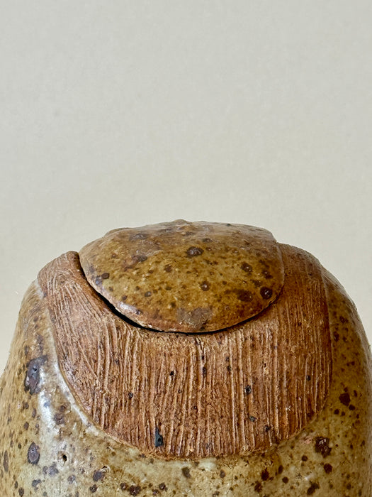 Speckled Jar With Lid