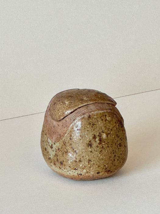 Speckled Jar With Lid