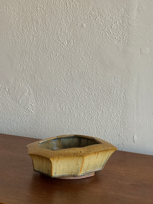 Irregular Shape Bowl