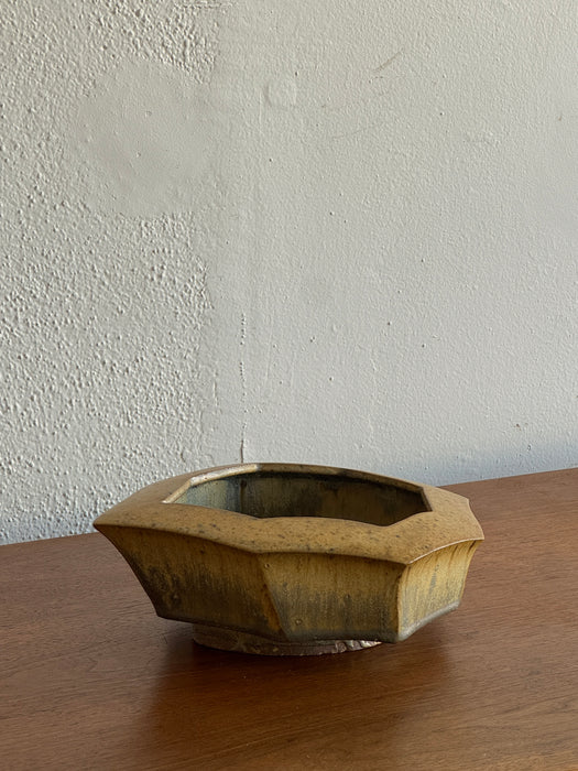Irregular Shape Bowl