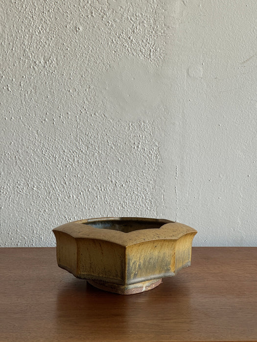 Irregular Shape Bowl