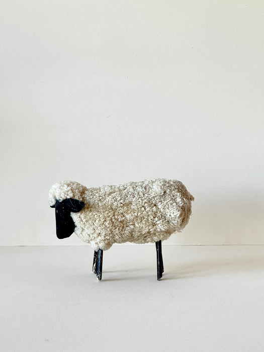 Navajo Sheep