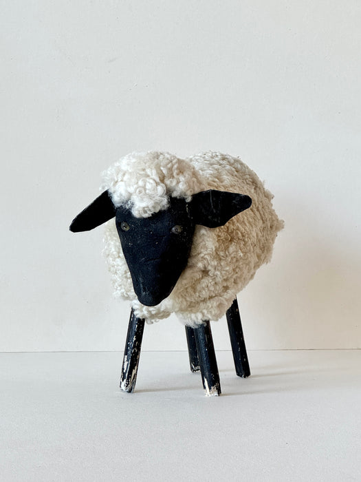 Navajo Sheep