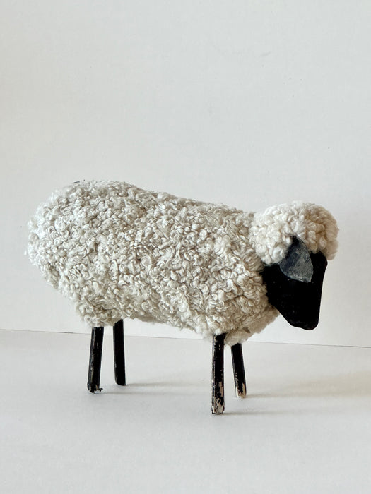Navajo Sheep