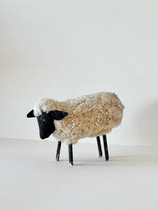 Navajo Sheep