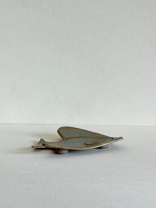Angelfish Catchall