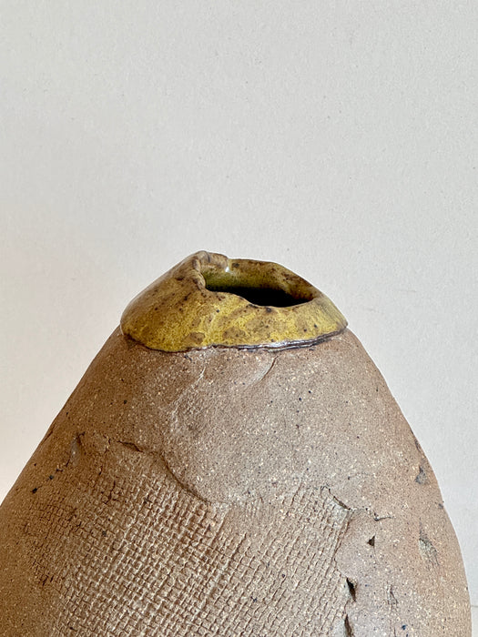 Hand Built Textured Vase