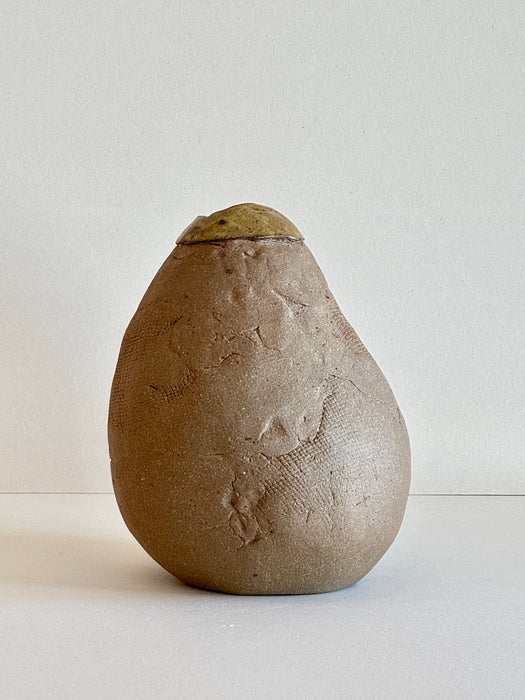 Hand Built Textured Vase
