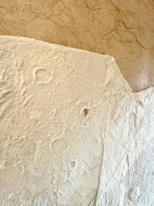 Antique Paper - Free Form